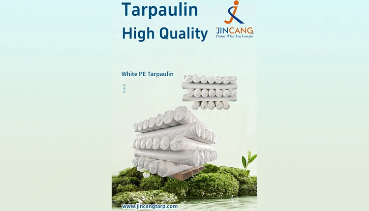 Hướng dẫn chính cho việc sử dụng tarpaulin PE chống thấm nước