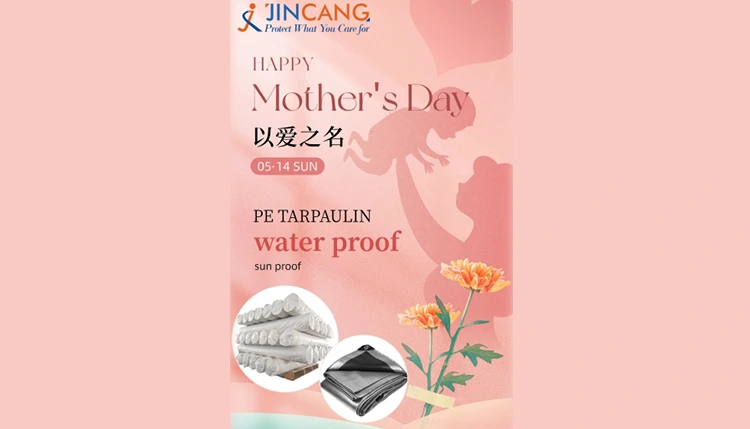 Tình yêu của một người mẹ: Kỷ niệm Ngày của Mẹ