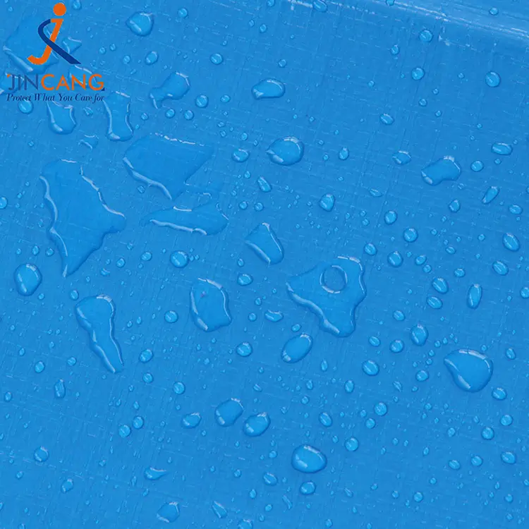 220g màu trắng xanh với bản in pe barpaulin