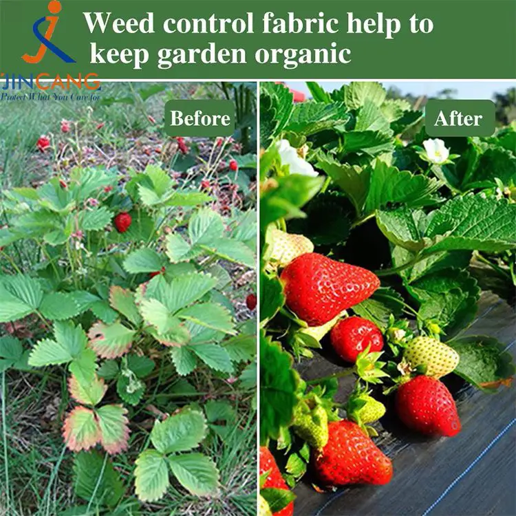 Thảm vải điều khiển cỏ dại