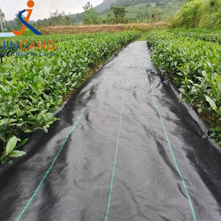 Thảm vải điều khiển cỏ dại