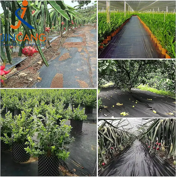 Thảm vải điều khiển cỏ dại