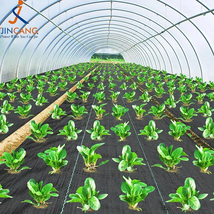 Thảm vải điều khiển cỏ dại