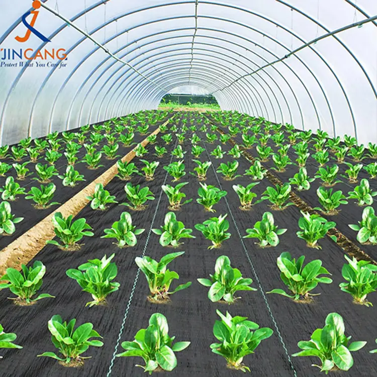 Thảm vải rào phủ cỏ địa kỹ thuật màu đen