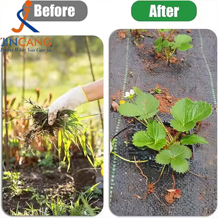 Thảm vải rào phủ cỏ địa kỹ thuật màu đen