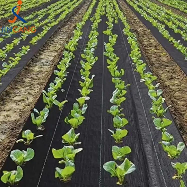 Thảm cỏ dại bền